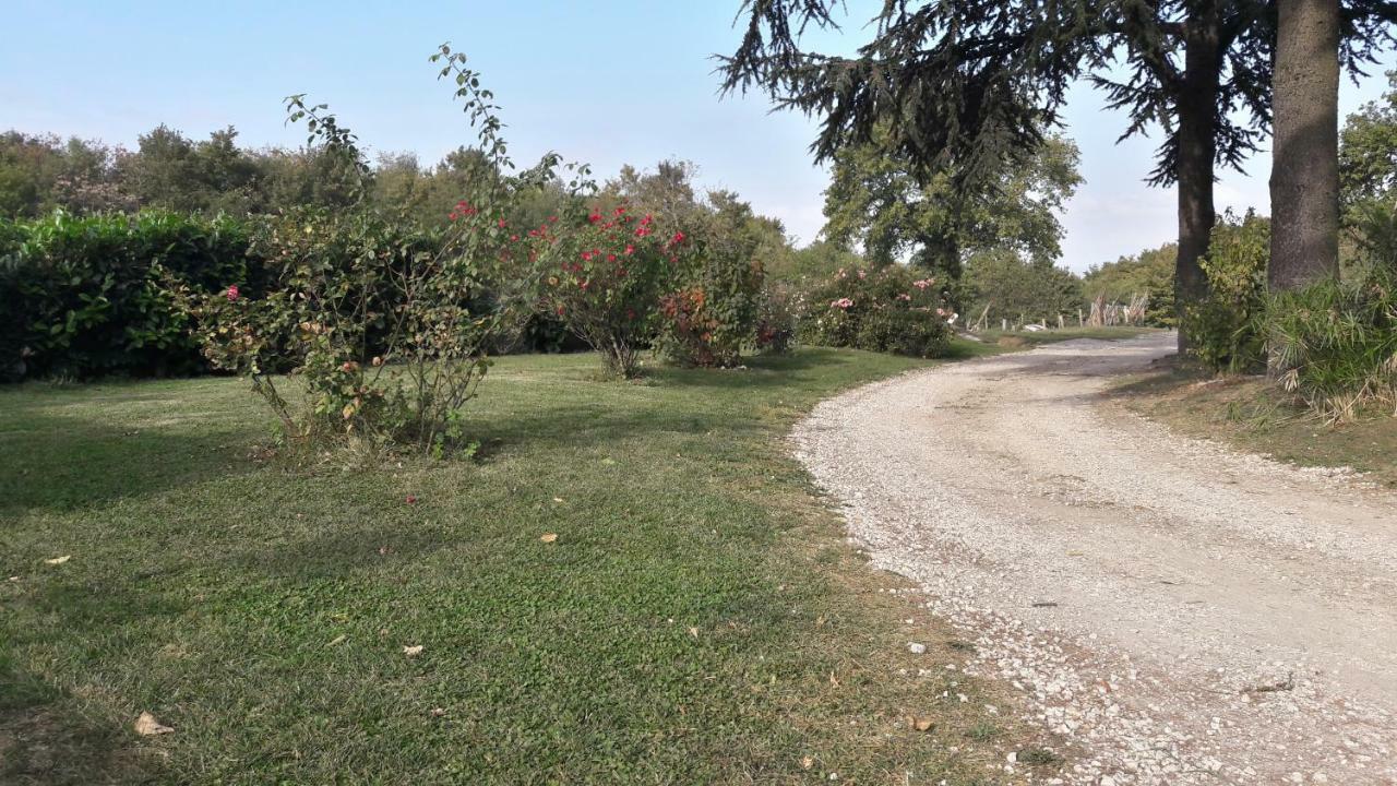 B&B Il Cardellino Porano Exteriér fotografie